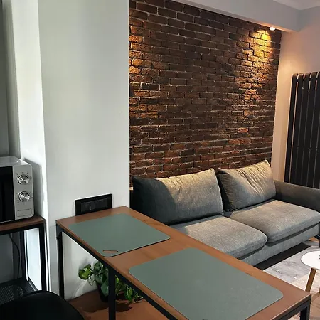 Kiseleff Flat Apartment