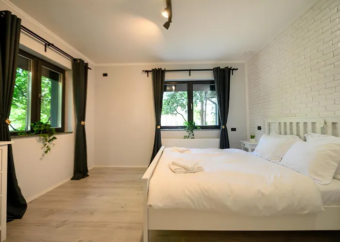 Kiseleff Flat شقة بوخارست