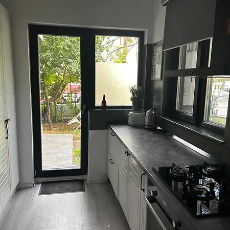 Apartment Kiseleff Flat - 2br, Family-friendly, Free Parking Bucharest