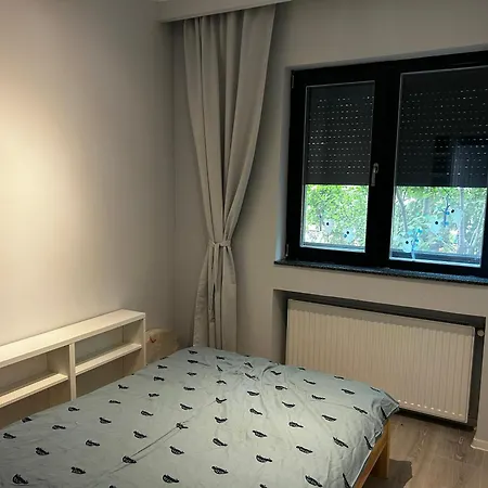 Apartment Kiseleff Flat - 2br, Family-friendly, Free Parking Bucharest